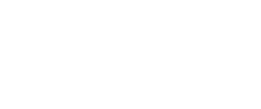 株式会社TORAIZ